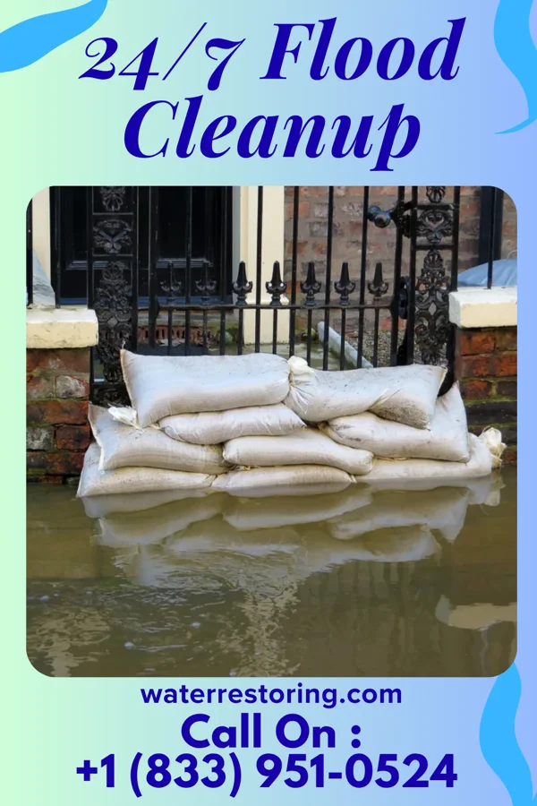 24/7 Flood Cleanup in Palestine, AR